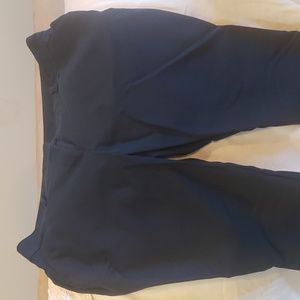 Ann Taylor size 8 pants blue